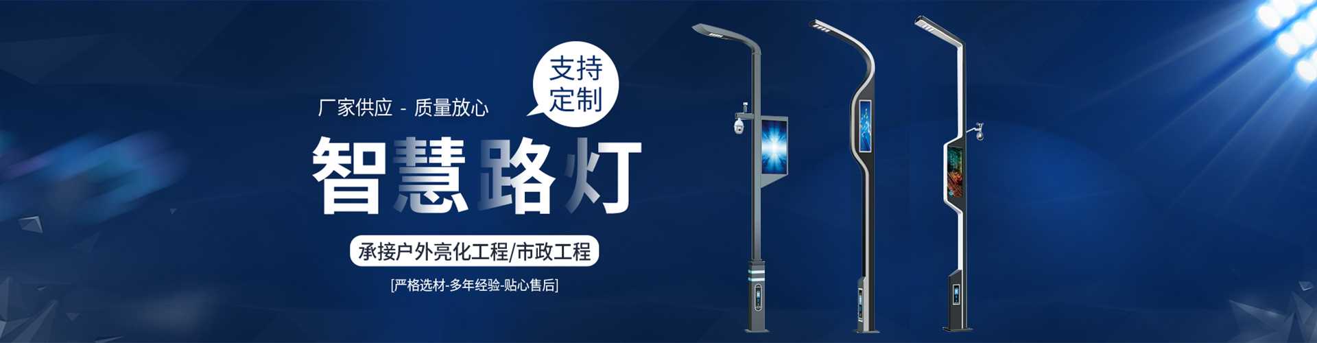 毕节市太阳能路灯定制厂家
